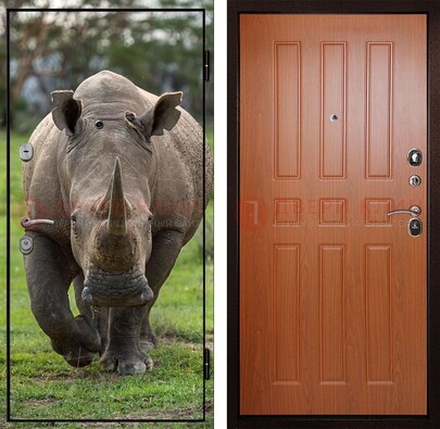 Металлическая дверь с фотопечатью носорога ДФ-31 в Твери